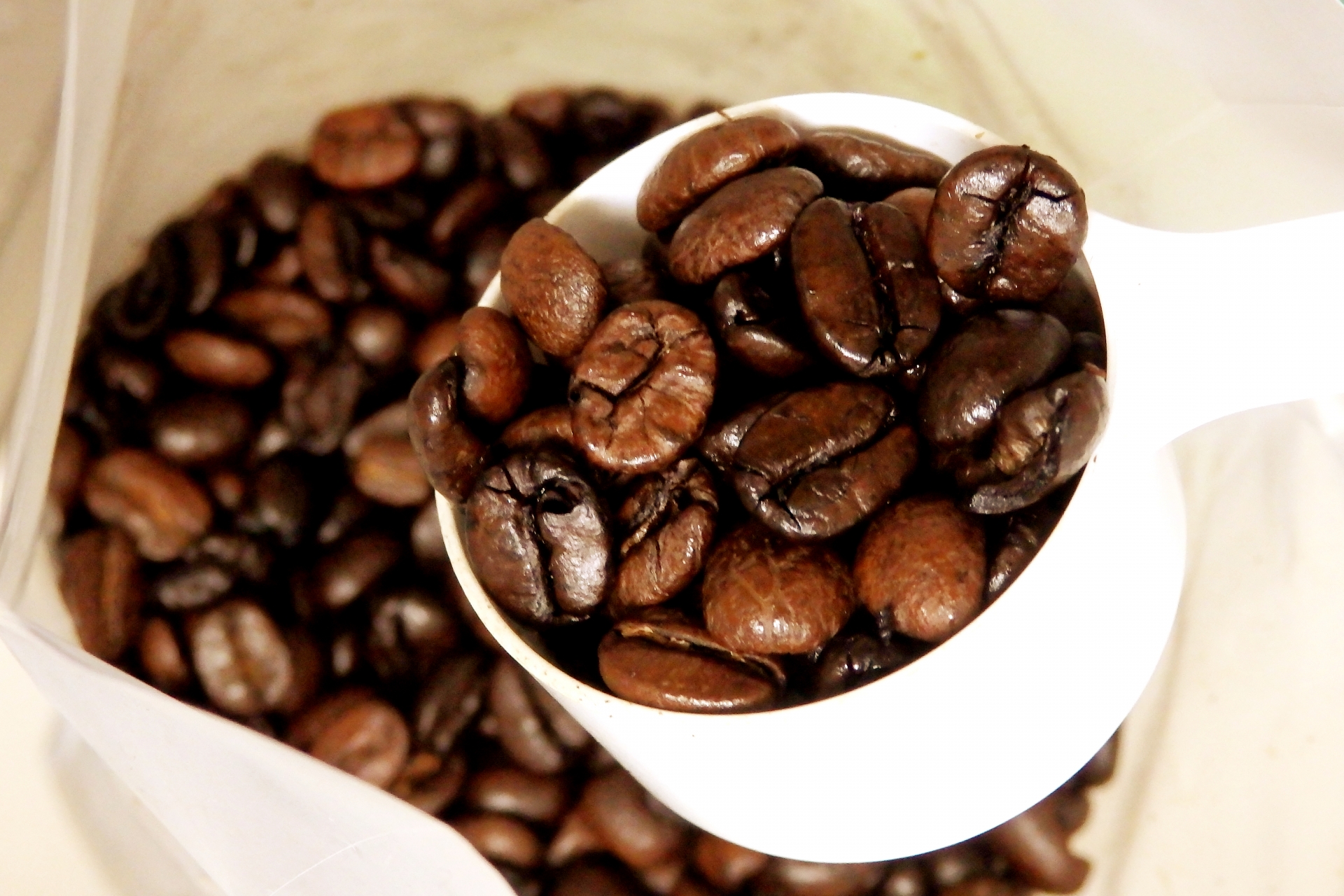 コーヒーの歴史を知るとオフィスコーヒーがさらに美味しくなる！