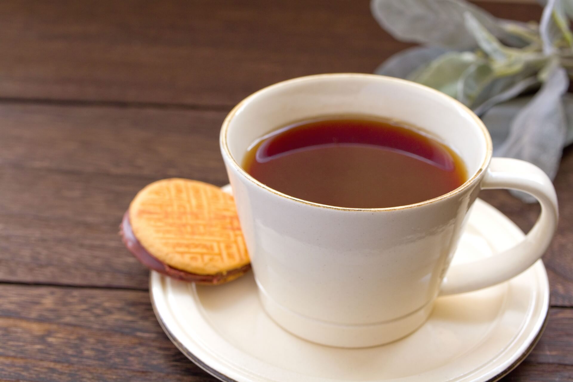 ティーサーバーで紅茶を飲むだけで口臭対策ができる？