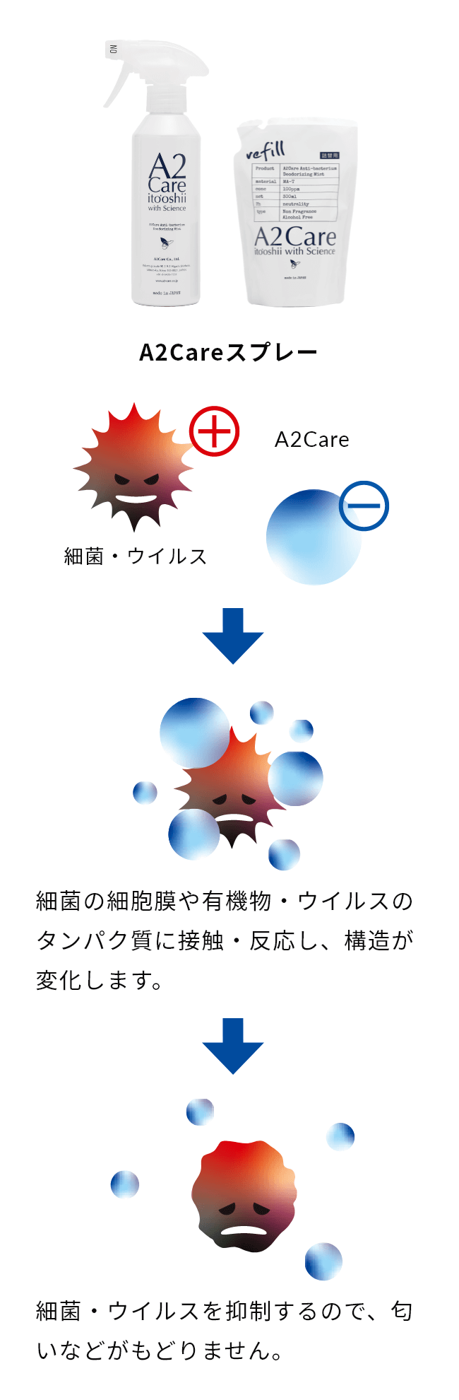 A2Careにより細菌の細胞膜や有機物・ウイルスのタンパク質に接触・反応し、構造が変化します。細菌・ウイルスを抑制するので、匂いなどがもどりません。