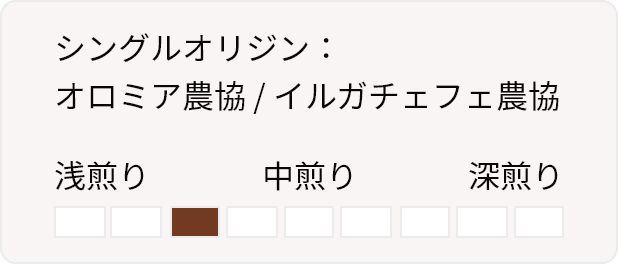 シングルオリジン：オロミア農協 / イルガチェフェ農協