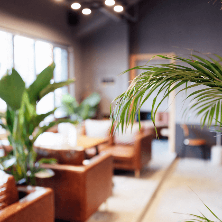 オフィス、休憩スペースが快適なグリーン空間に生まれ変わります。