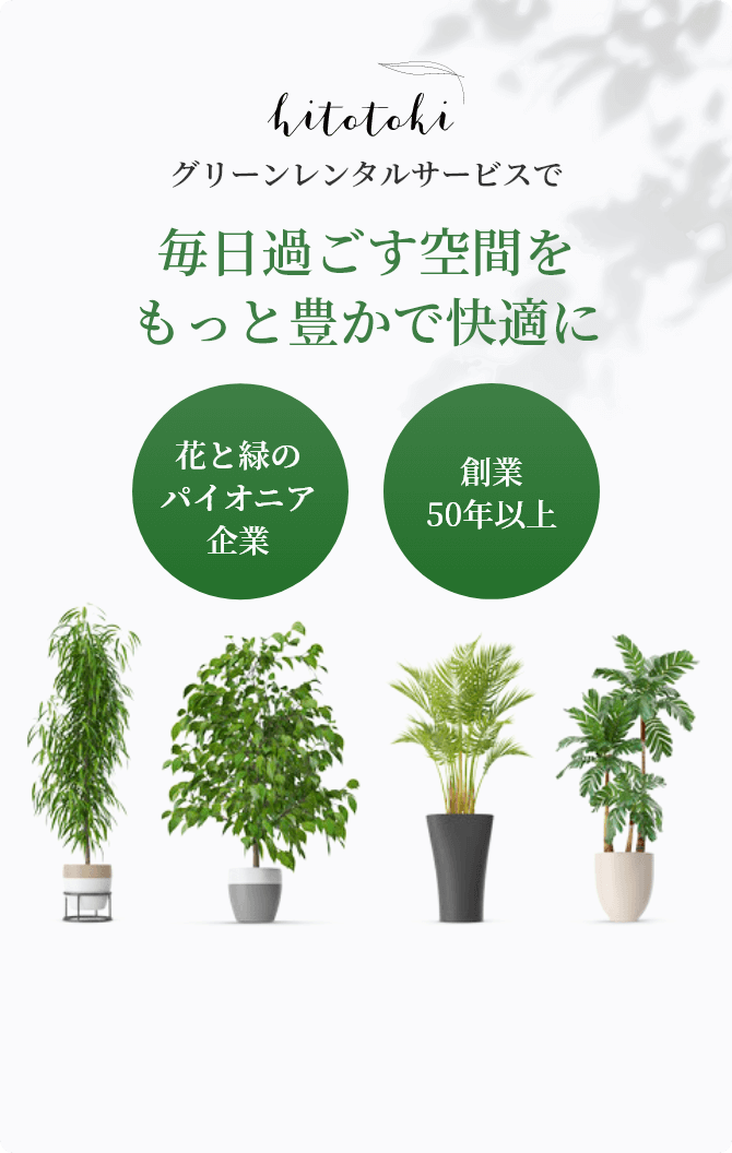 hitotoki グリーンレンタルサービスで毎日過ごす空間をもっと豊かで快適に 花と緑のパイオニア企業 創業50年以上