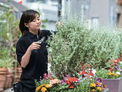 人と空間を結ぶ・魅せる植栽