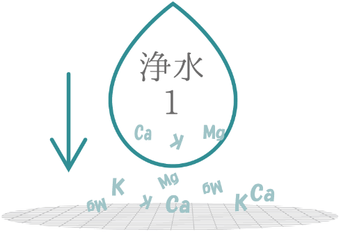 STEP 02 軟水装置